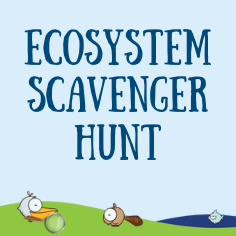 Ecosystem Scavenger Hunt